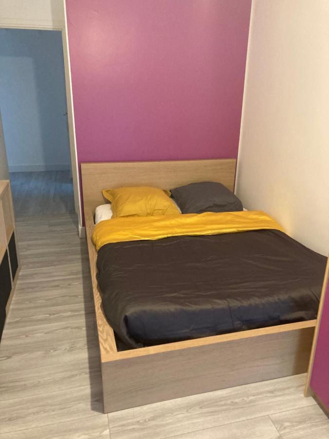 Chambres Chez L'Habitante Hermes A Blagnac Bagian luar foto